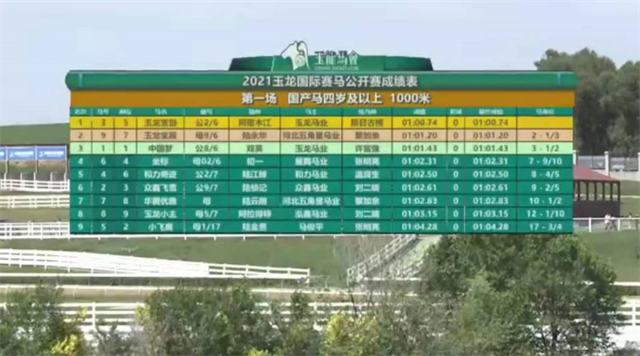 玉龙马业,国产马赛事,玉龙公开赛,赛马,马术,玉龙赛马 (1).png