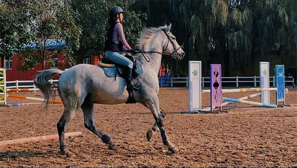 CKUR高二骑手杨慕茜:马术和学业我都要!大陆马 (9).jpg