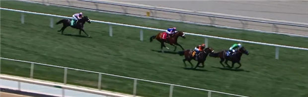 从欧洲转战北美勇夺第二冠!玉龙马业三岁雌马“闪耀光芒”美国大放异彩 大陆赛马网 (1).jpg