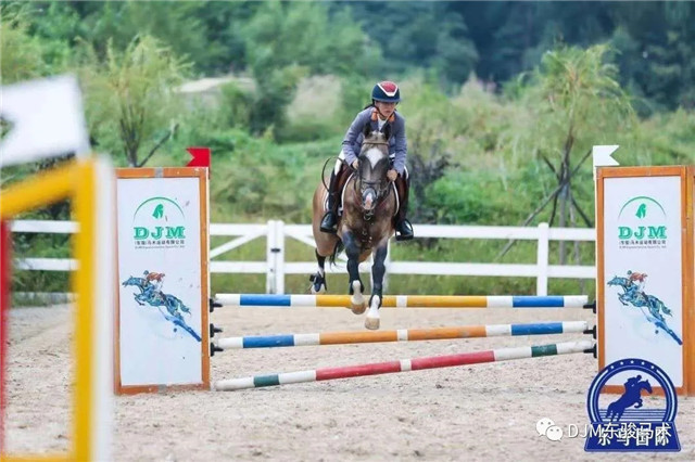 东北马术闪亮登场 (1).jpg