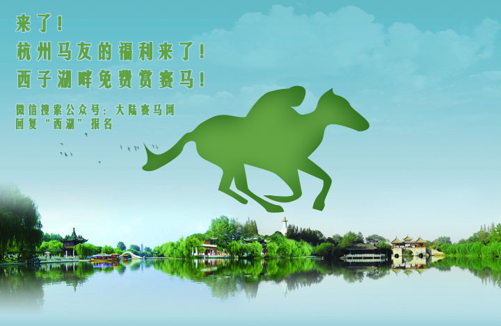 西湖赛马活动 【活动报名】西子湖畔免费赏赛马!杭州马友的福利来了!