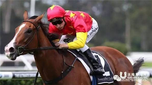 金拖鞋迎“中国日”:莱德杰士蒙骏5匹赛驹征战3场国际一级赛 4.jpg