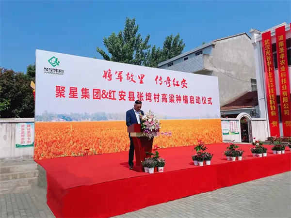 聚星集团10万亩种植计划再下一城!红安高粱基地正式启动! 大陆马 (1).jpg