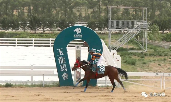 惊喜!替补上场夺冠!华宇马业“突如其来”12马位大胜! 大陆马 (2).jpg