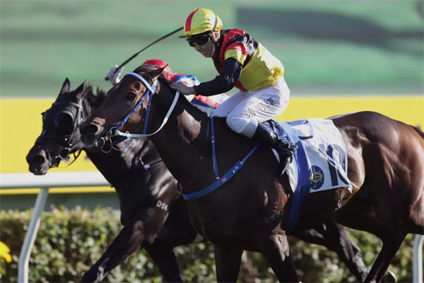 牛年送岁赛于香港沙田马场上演10场赛马:新骑师嘉里一出即胜 大陆马.jpg