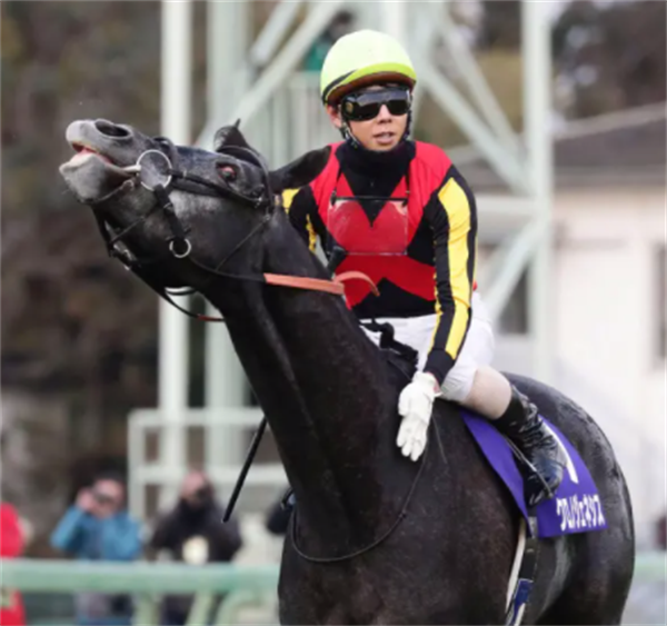 日本坠马骑师将于今年六月复出 大陆马.png