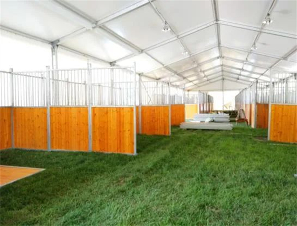 北京威斯恩国际马术设备有限公司:中国马术设备领军企业! 大陆马 (12).jpg