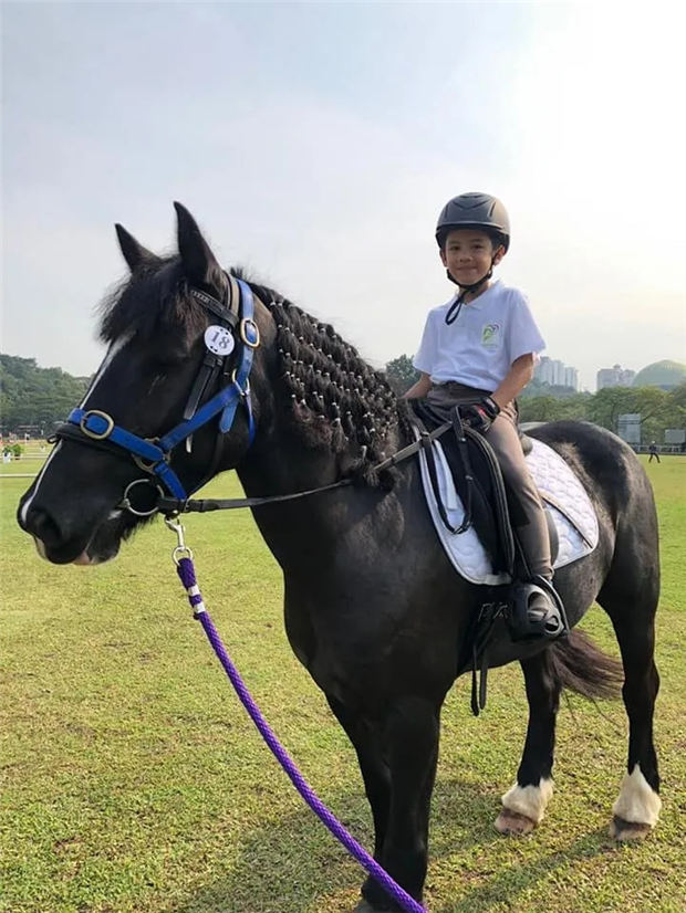 让马术治疗照亮自闭症儿童的“星空”:了解吉隆坡Green Apple马术治疗机构 青马网大陆马 (3).jpg