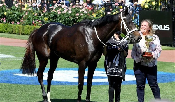 澳洲马王“雍容尔雅”不参加法国凯旋门大赛 大陆马.png