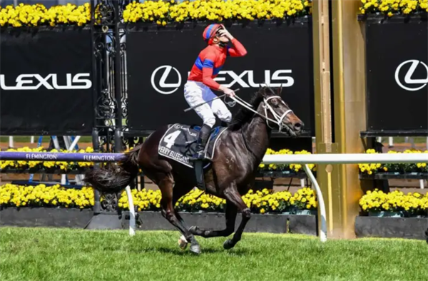 “雍容尔雅”放弃出征凯旋门大赛 大陆马.png