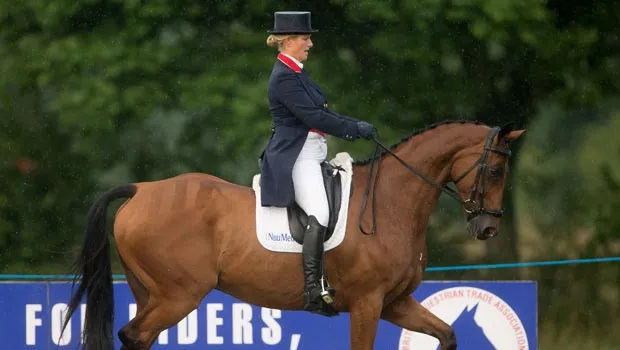 王室公主怀孕打马球、富二代怀孕7个月在比赛……怀孕能骑马么? 青马网大陆马 (2).jpg