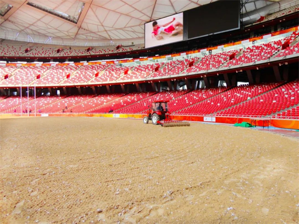 北京威斯恩国际马术设备有限公司:中国马术设备领军企业! 大陆马 (18).jpg