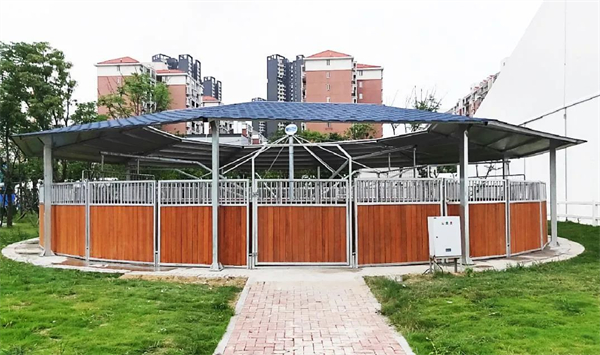 北京威斯恩国际马术设备有限公司:中国马术设备领军企业! 大陆马 (24).jpg