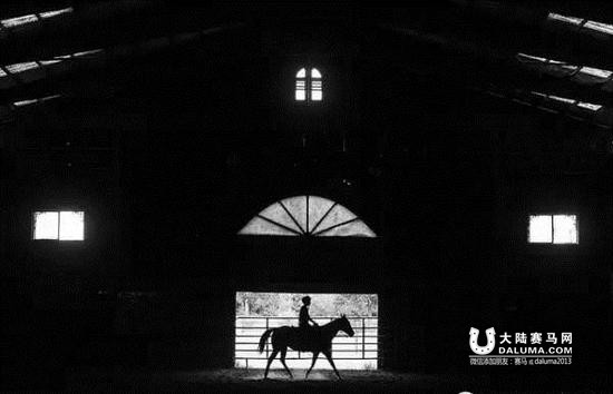 学习马术可以收获什么? 马儿教给我们的12条戒律 大陆赛马网.jpg