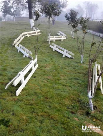 嘉丽泽马术11月29日 小马趣味赛1.png