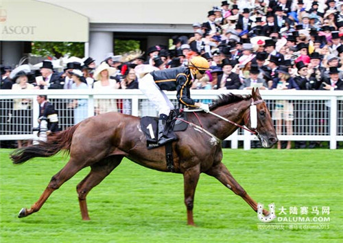 2015世界最佳赛马年终排名揭晓 美国法老第1 蒙古可汗27 (5)_副本.jpg
