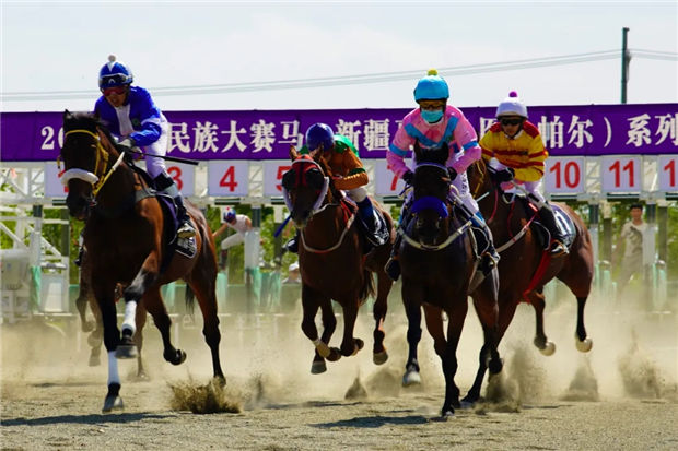 100多场比赛、564万奖金!新疆马会:热烈欢迎内地马主来新疆赛马 大陆赛马网 (1).jpg