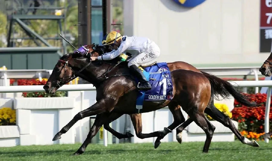 日本三冠马后“谋勇兼备”有望在富卫保险女皇杯迎战“金枪六十” 大陆赛马网 赛马网 赛马 (2).jpg