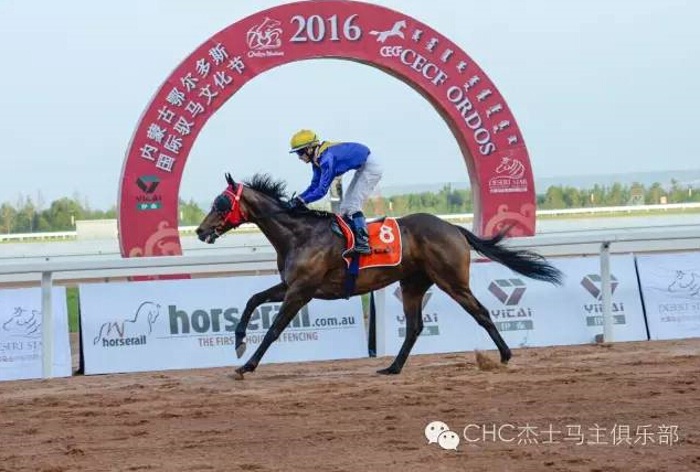 驭马奔腾 助力体育强国民族梦——CECF鄂尔多斯驭马文化节圆满收官 17.jpg