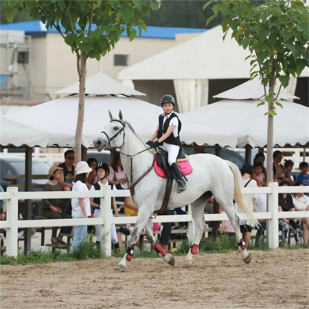 CKUR中联骑士联盟初中小骑手巩梓钰:8年马术学习,更自控更自信! 大陆马 (3).png