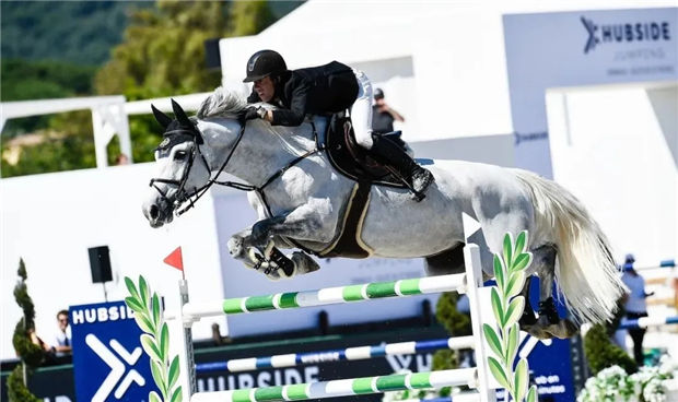 荷兰顶尖马术骑手:我夺冠是因为的马非常想赢! 青马网大陆马.jpg