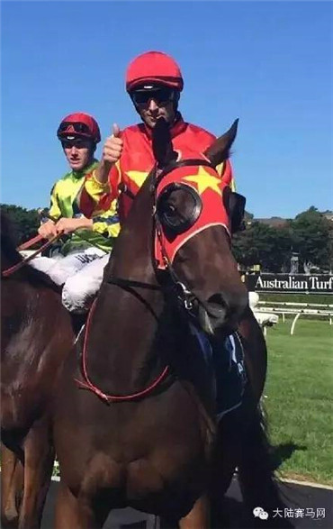 金拖鞋迎“中国日”:莱德杰士蒙骏5匹赛驹征战3场国际一级赛 6.jpg