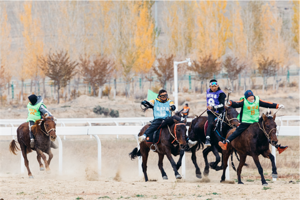 新疆马产业将“跑出”200亿!大陆马 (3).png