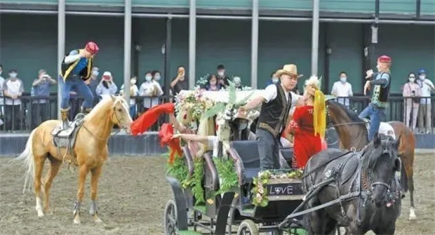 好消息,昆明、乌鲁木齐的马术消费券来了!其他城市走起! 青马网大陆马 (2).jpg