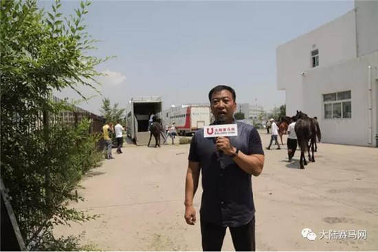 玉龙马业,81,澳洲纯血马,包机,太原机场,进口马匹,历史10.jpg