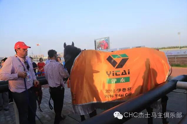 驭马奔腾 助力体育强国民族梦——CECF鄂尔多斯驭马文化节圆满收官 19.jpg