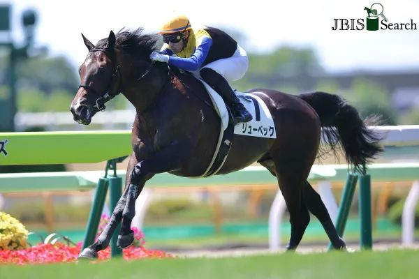 英国种公马“无敌先锋”在日本迎来第20个锦标赛冠军子嗣 大陆马.jpg