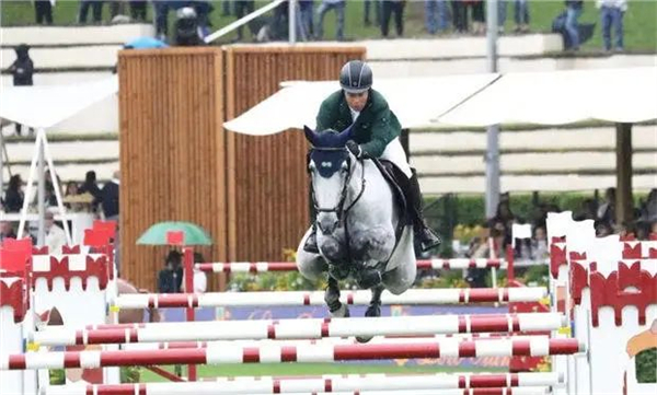 19匹马超2300万成交额!全球顶级温血马拍卖会完美收官! 大陆马 (1).jpg