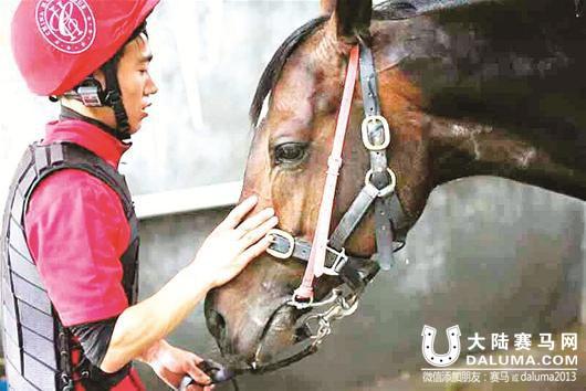 土家族骑手谭勇民运会上赛马夺金 称是梦的开始.jpg