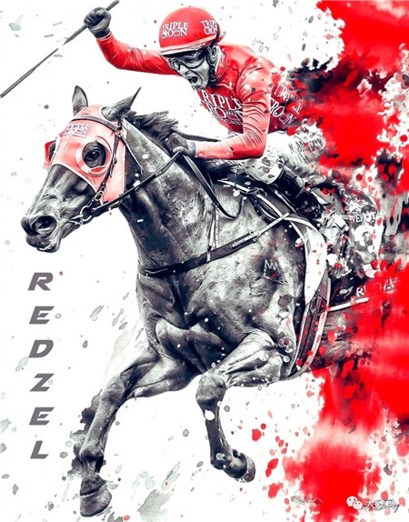 澳洲赛马史奖金第二多、前两届巅峰赛冠军“红达时”功成身退 大陆赛马网 (3).jpg