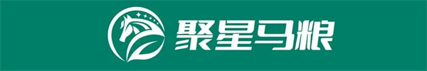 虎年第一天从“美好人生”开始!CHC勇夺300万美元飞马世界杯 大陆马 (2).jpg