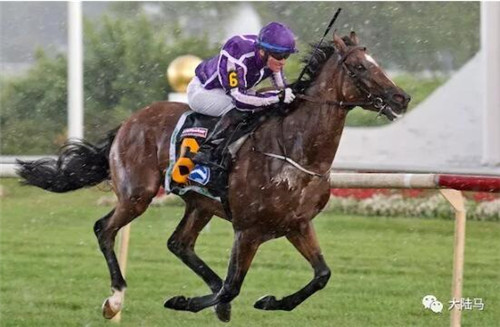 谁的子嗣是欧洲赛场2200-2600米王者?“伽利略”父子当仁不让7.jpg