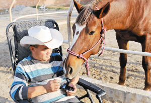 秦岭脚下牧马人 大陆赛马网5.jpg