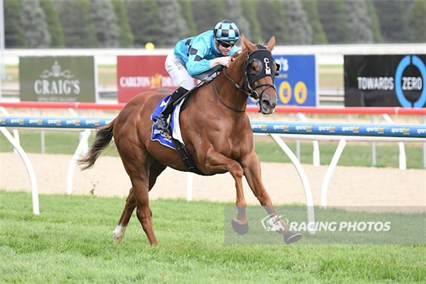 “火”势凶猛!Aquis Farm雅士牧场三岁骟马“点火”轻取第二冠 大陆赛马网 (2).jpg