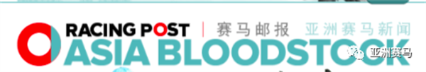 英国《赛马邮报》聚焦:玉龙第三赛马日:“小松带刀”力压强敌,达成连胜 大陆马 (2).png