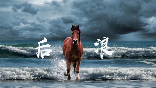 马术“后浪”!全球最牛的10位30岁以下骑手:最高排名第2,最小19岁 青马网大陆马 (1).jpg