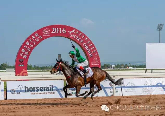 驭马奔腾 助力体育强国民族梦——CECF鄂尔多斯驭马文化节圆满收官 12.jpg