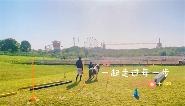 青马·校园马术社团 和大陆马一起骑马踏春!不负春光,不负童年! 大陆马 (4).png