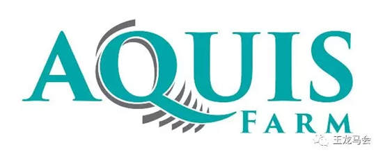 “箭如飞”豪取20万雅士神奇百万杯:玉龙国际公开赛转战武汉.webp (7).jpg