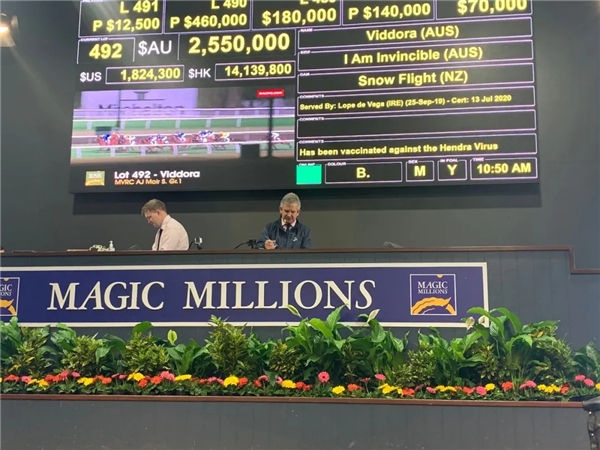 令澳洲瞩目!玉龙马业5000万购入15匹顶尖母马,冠绝神奇百万拍卖会 大陆赛马网 (1).jpg
