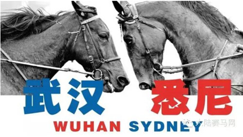 《每周马闻播报》四月第2周:武汉悉尼刮起中国赛马风(视频)3.jpg