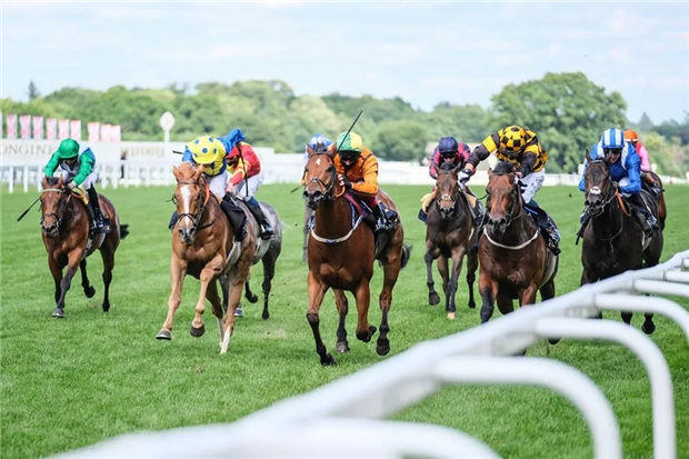 法国赛马“哈啰跃升”捧走英国皇家赛马会一级赛钻禧锦标 大陆赛马网.jpg