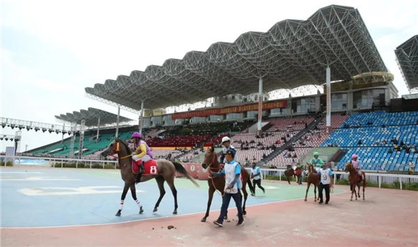 邢兰凯旗下赛驹“玉娇龙”夺2020年全国速度马公开赛首冠:父系“飞速” 大陆赛马网 (1).jpg