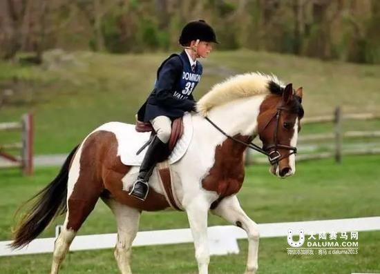 马儿教给我们的12条戒律 大陆赛马网.jpg