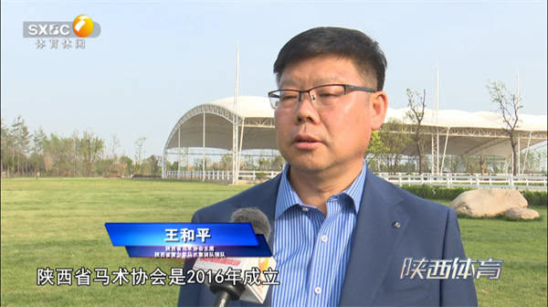 00后女骑手登全运会马术舞台,助家乡陕西实现零突破 大陆马 (1).png