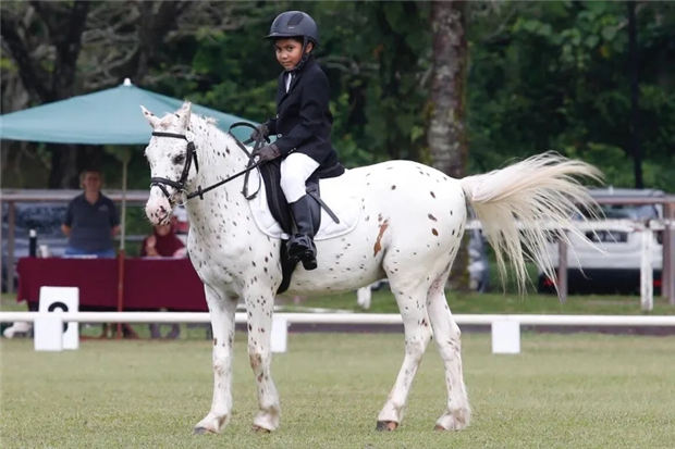 让马术治疗照亮自闭症儿童的“星空”:了解吉隆坡Green Apple马术治疗机构 青马网大陆马 (4).jpg